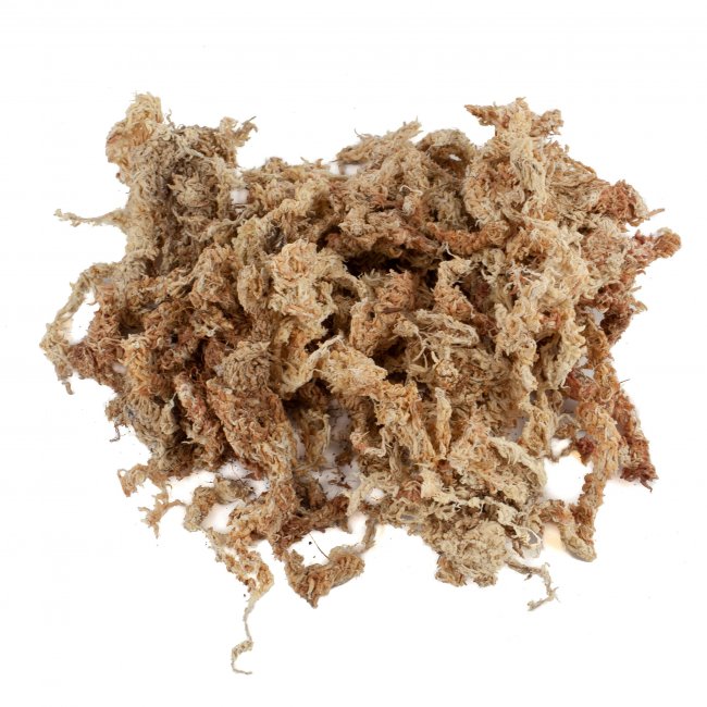 Dried Sphagnum moss from Chile 150g