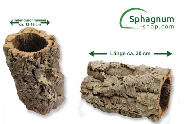 Korkeiche Röhren 30cm lang