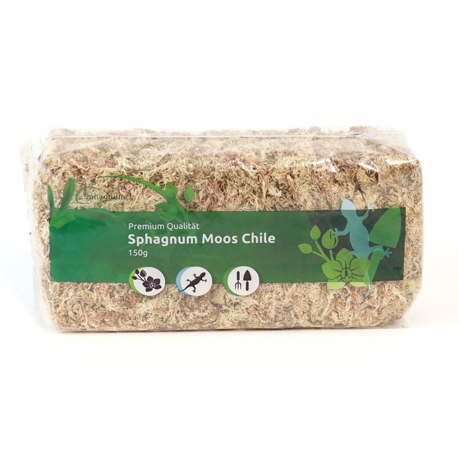 Dried Sphagnum moss from Chile 150g