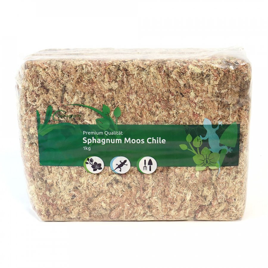 Dried Sphagnum moss from Chile 1 kg