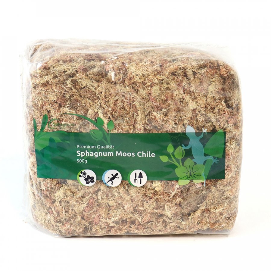 Dried Sphagnum moss from Chile 500g